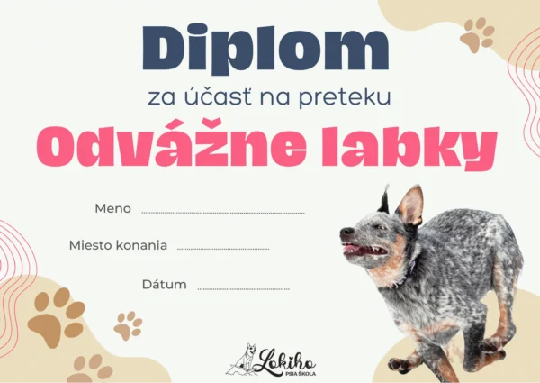 Plagát / Leták - Image 2